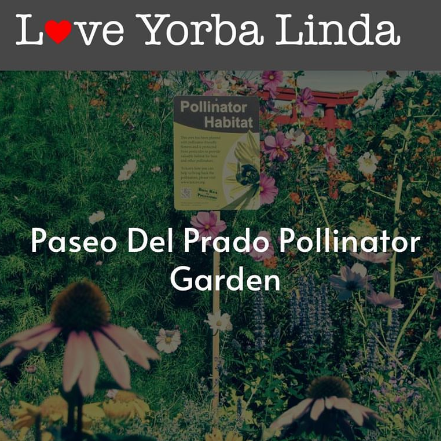 Flyer announcing community service opportunity at the Paseo Del Prado Pollinator Garden.